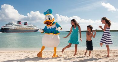 what is a disney cruise line placeholder